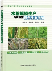 水稻规模生产与病虫害原色生态图谱